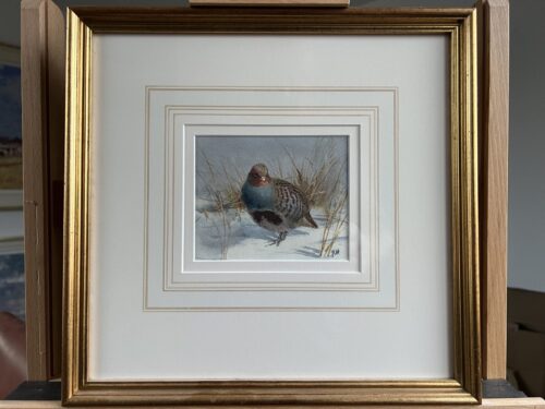 John Harrison Grey Partridge